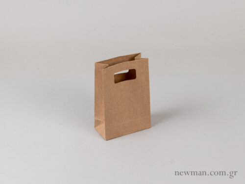 Kraft paper bag with die-cut handle no1