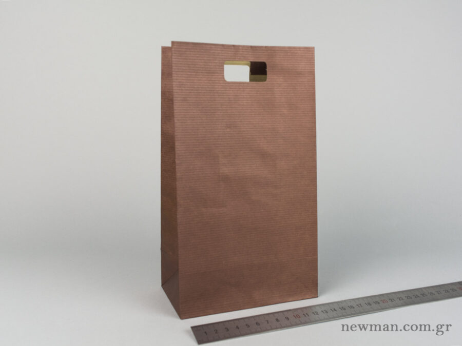 Paper bag with die-cut handle No3 brown