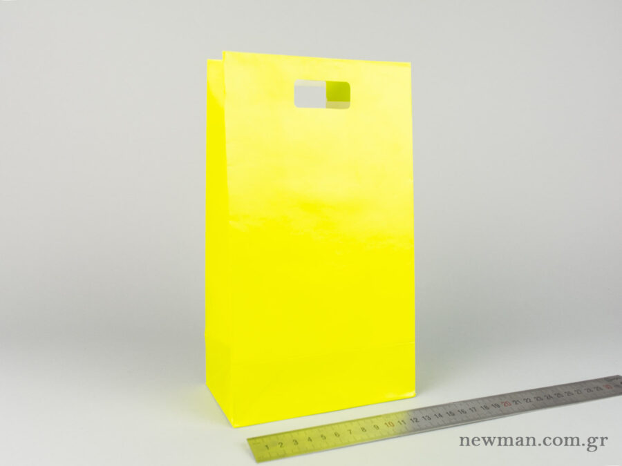 Paper bag with die-cut handle No3 light green