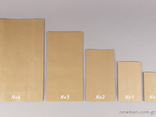 Brown/Kraft Paper Gift Bag in 5 sizes