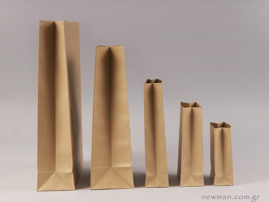 Brown/Kraft Paper Gift Bag in 5 sizes