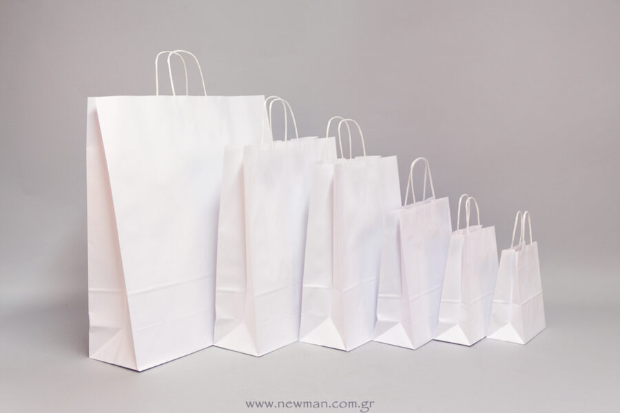 Carrier Paper Bags with twisted handle in white color