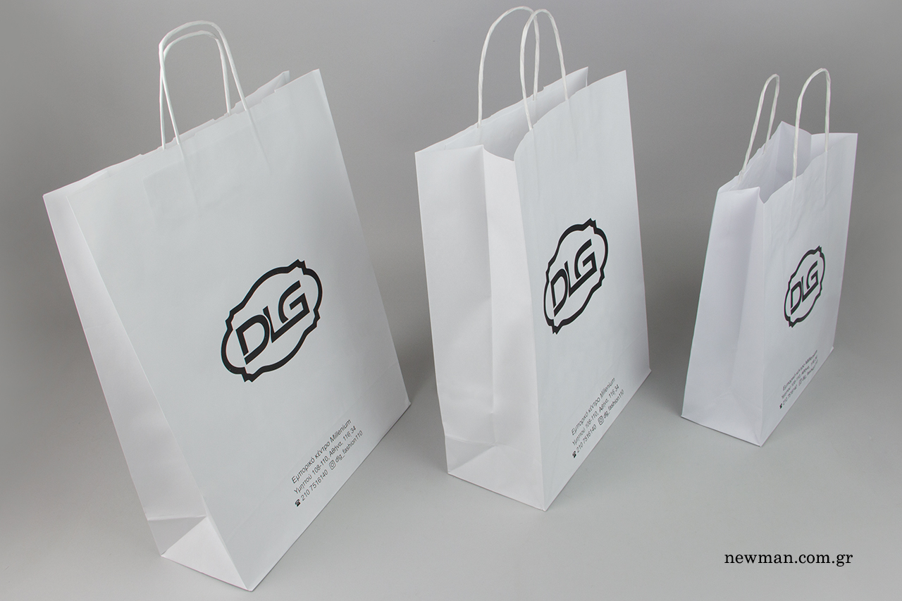 Wholesale twisted handle paper gift bags with logo.